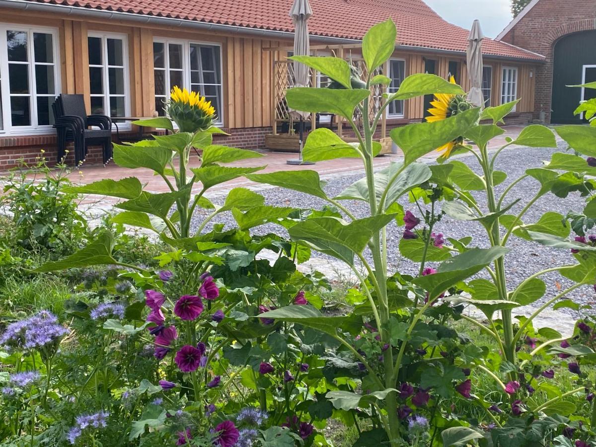 Gut Gross Fedderwarden, Ferienwohnung Emma Butjadingen Eksteriør bilde